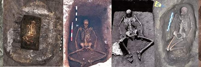 Yamnaya Impact Research Project banner