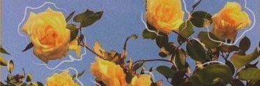 VictoriaSosavk's profile banner image
