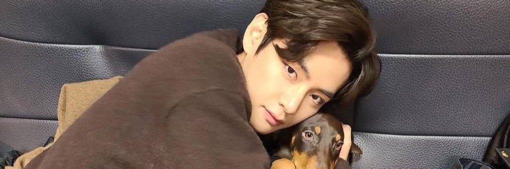 febbriiii's profile banner image