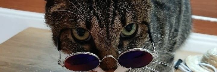 aly banner