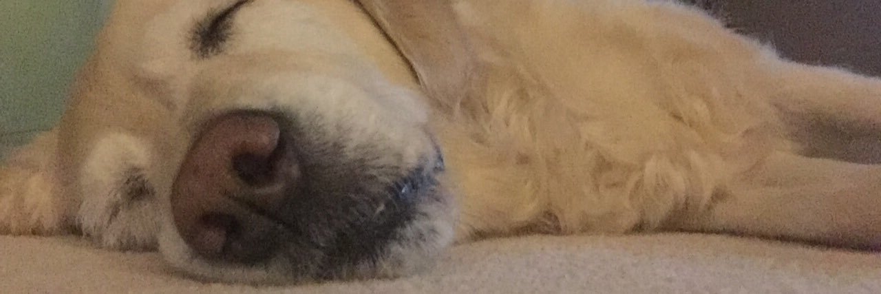 janetrules5's profile banner image