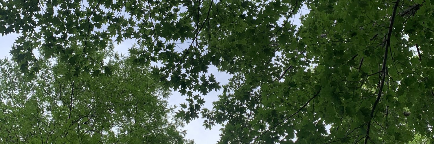 camgomez12's profile banner image