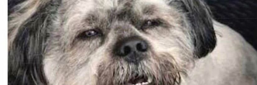 WizzerMark's profile banner image
