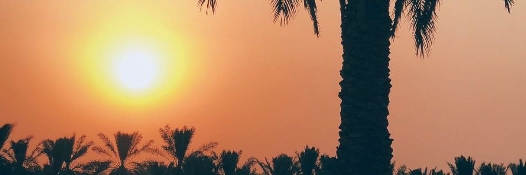 no0on990's profile banner image
