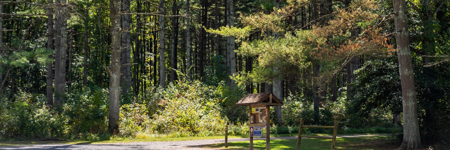 DelawareForests's profile banner image