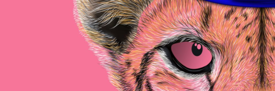 Carole Lamarque banner