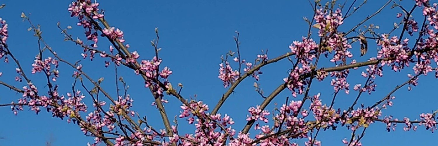 kkcdanser's profile banner image