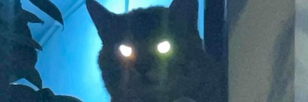 0xTols Profile Banner