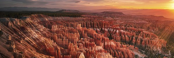 ROBERTLCHITEMAN Profile Banner