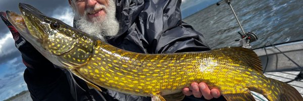 heid_markus Profile Banner