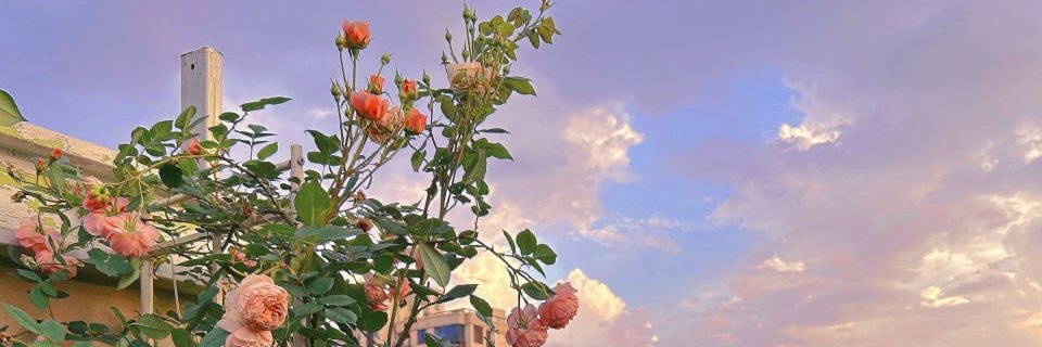 DerrickHouse17's profile banner image