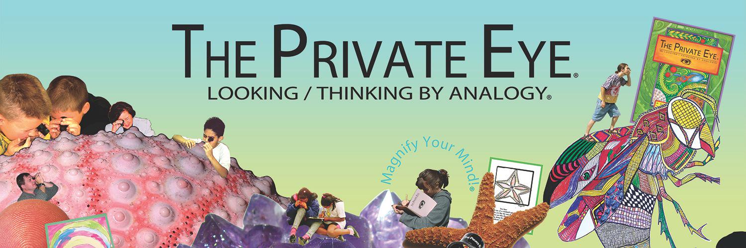 PrivateEyeProj's profile banner image