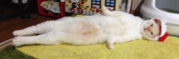 basteto3 Profile Banner