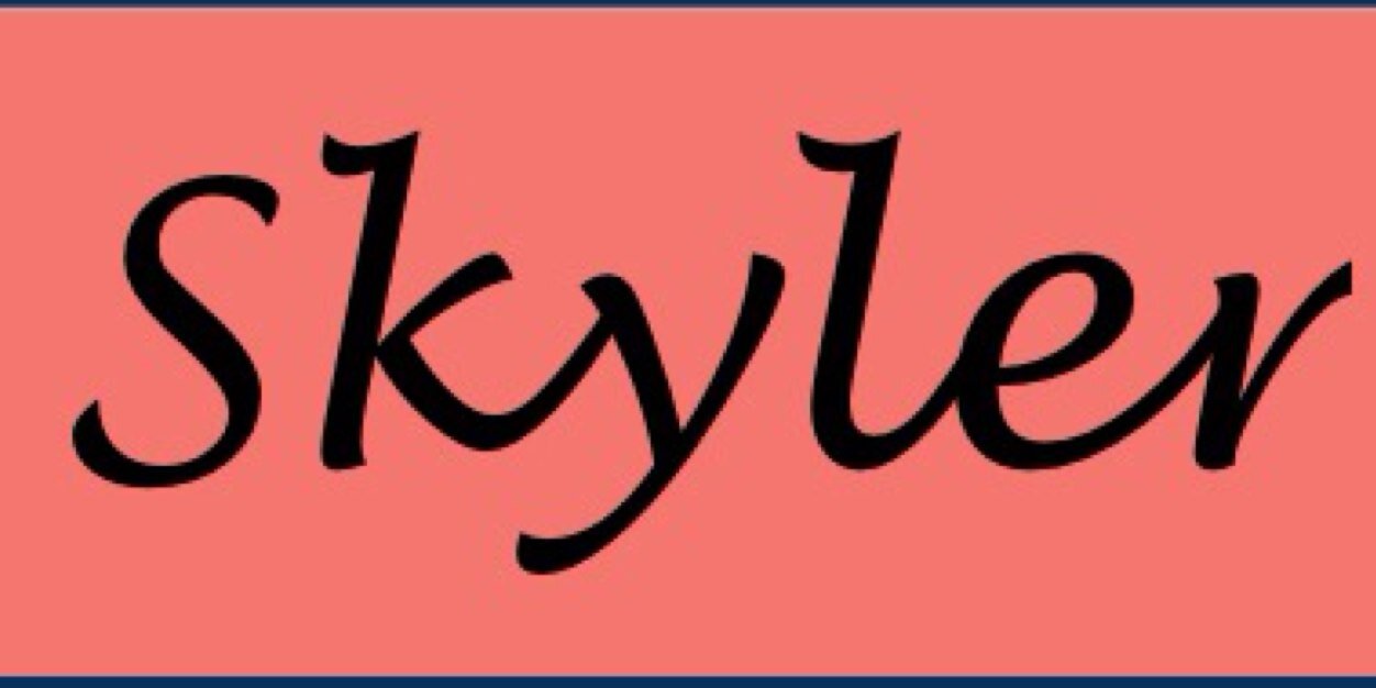 skyler brinkley banner
