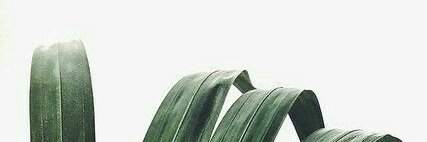 Alghazali60's profile banner image