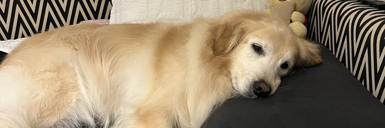 littlemilson's profile banner image