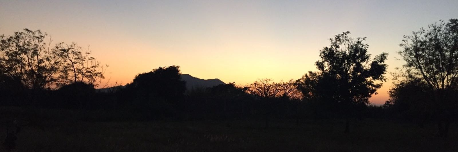 Lucero_CMS's profile banner image