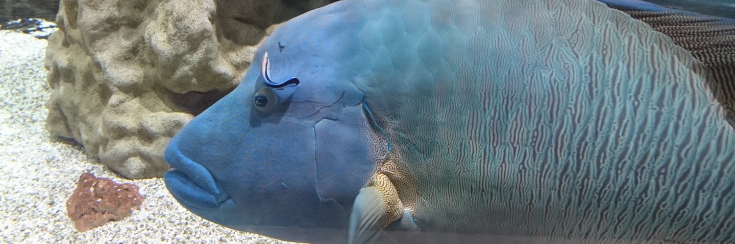 てっちゃんson banner