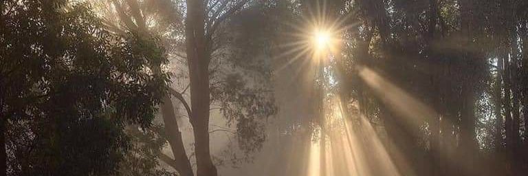 kknatcha12's profile banner image