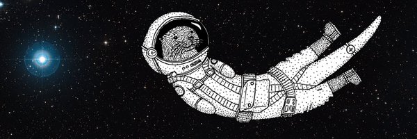 Felice in Otter Space 🦦 Profile Banner