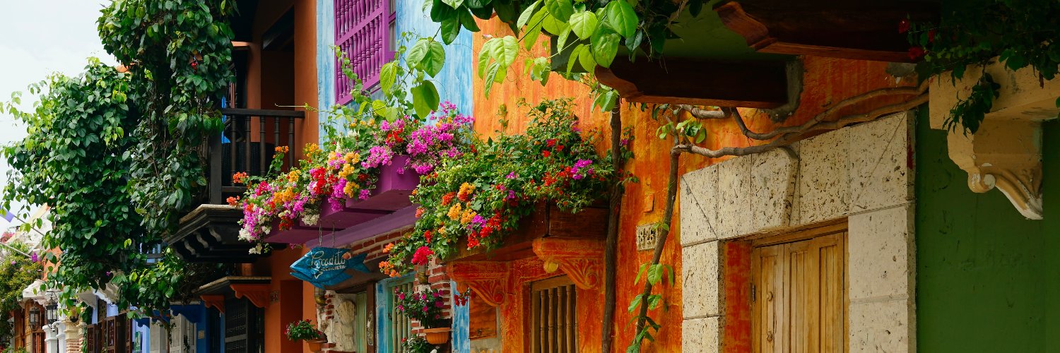 Valeria Alvarez banner