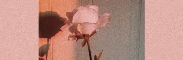 Dan_MD_'s profile banner image