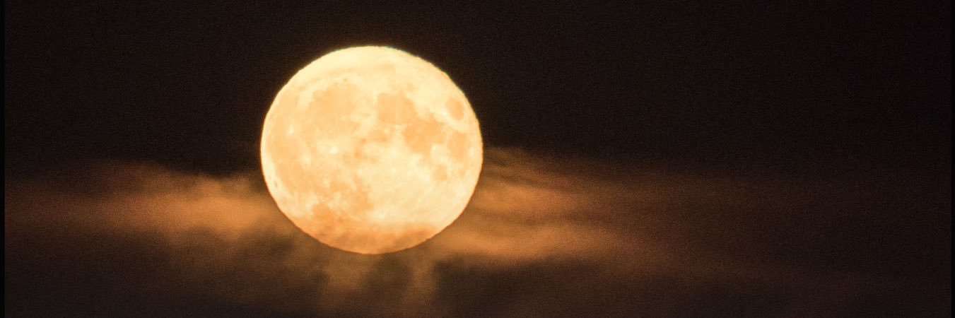 AlanMoon's profile banner image