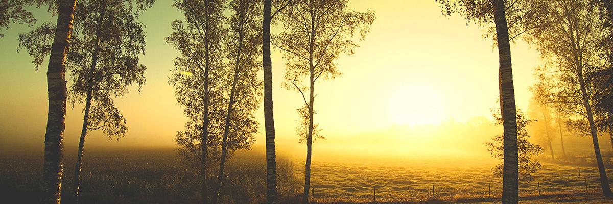 devnavarros's profile banner image