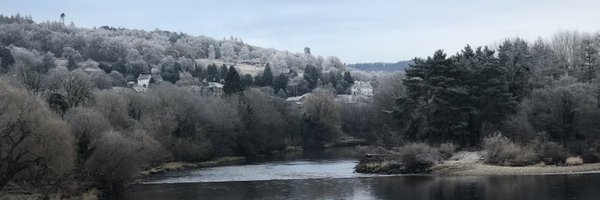 BertieSaved Profile Banner