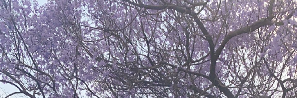 wiamyyy's profile banner image