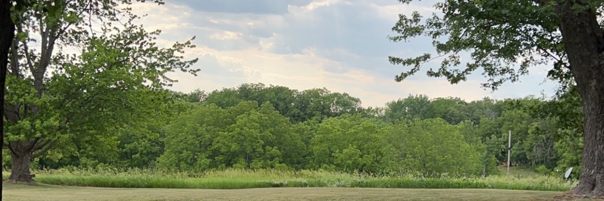 brodytf's profile banner image