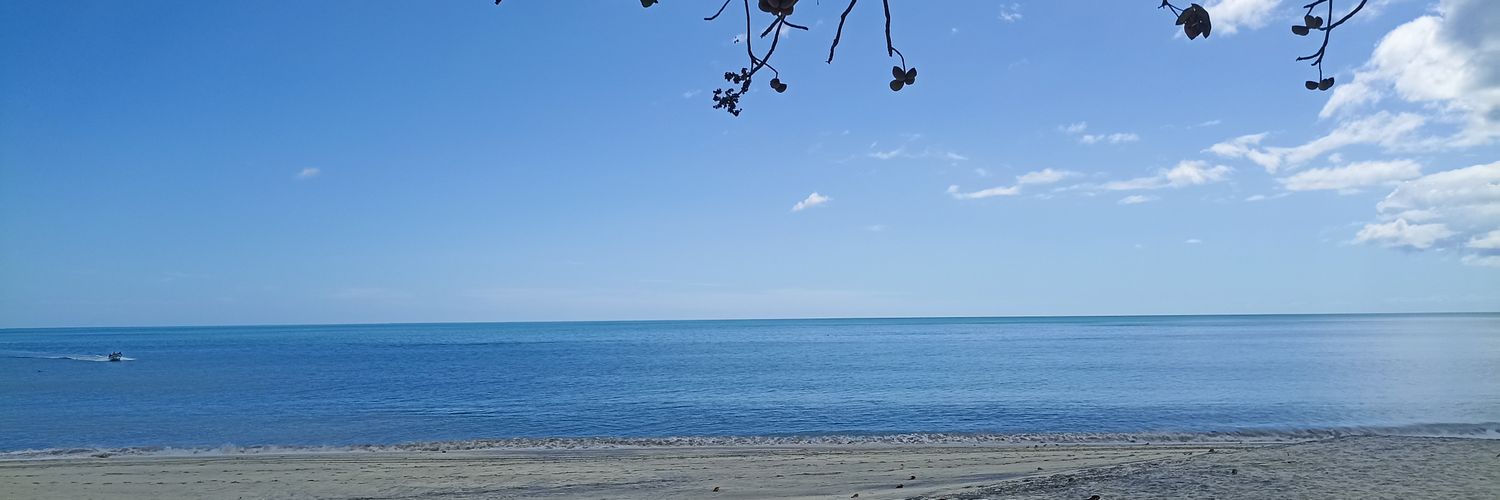 Andrés Pulido banner