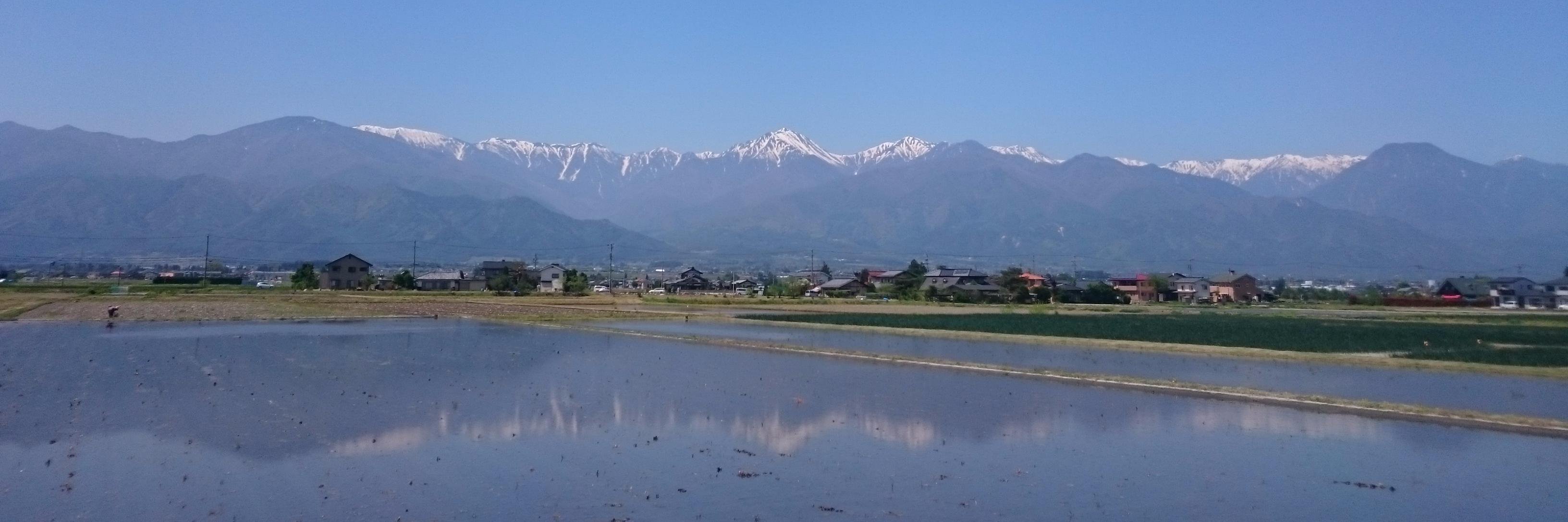 まるちゃっちゃ banner