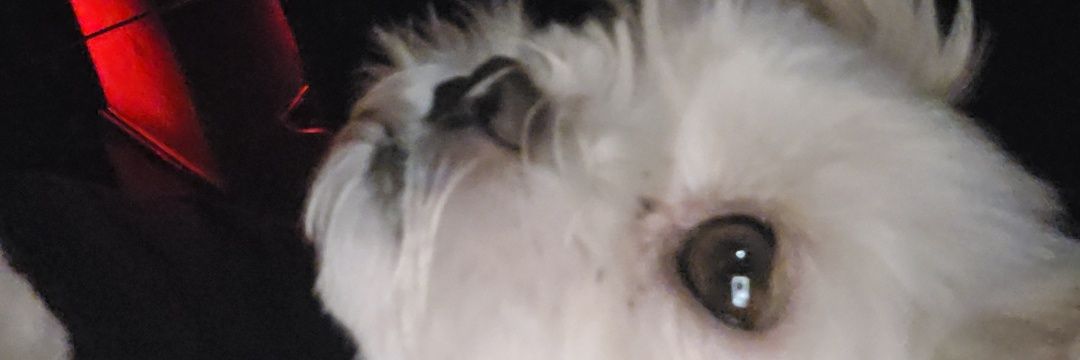 ZΣПIƬΉ banner