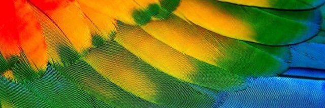 kaikuse77's profile banner image