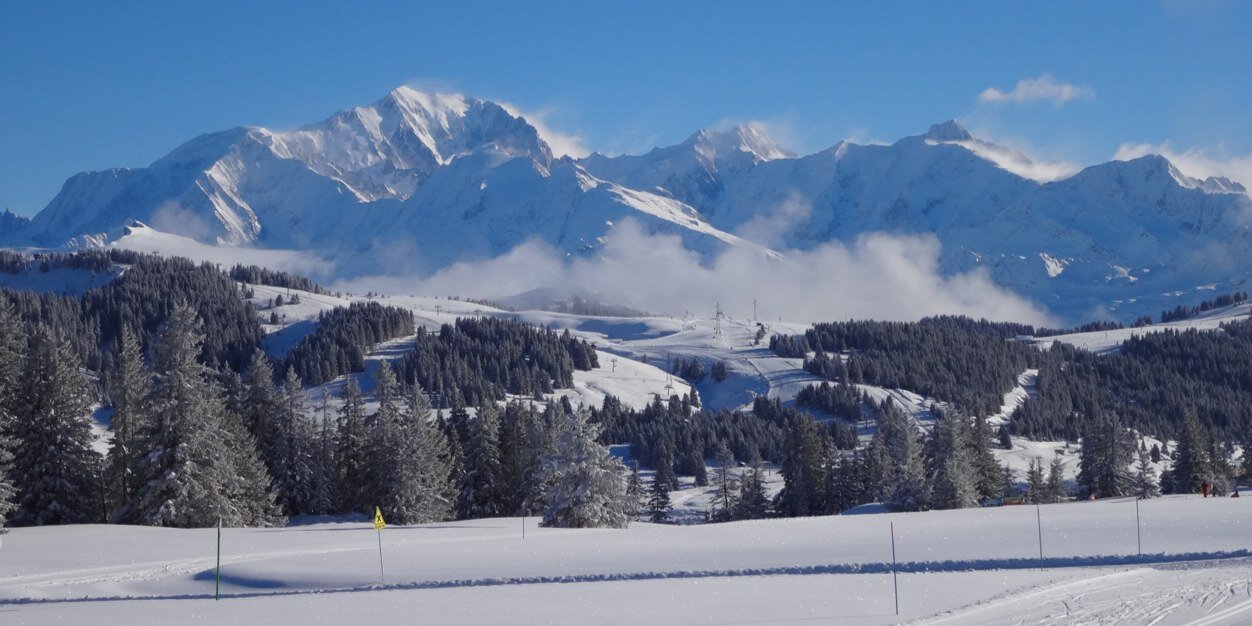 Simi Hamilton banner