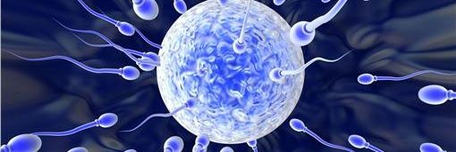 impregnate girl banner