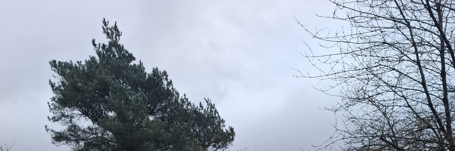🗑DustbinGeordie🗑 banner