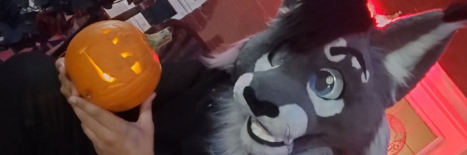 Bailey's banner