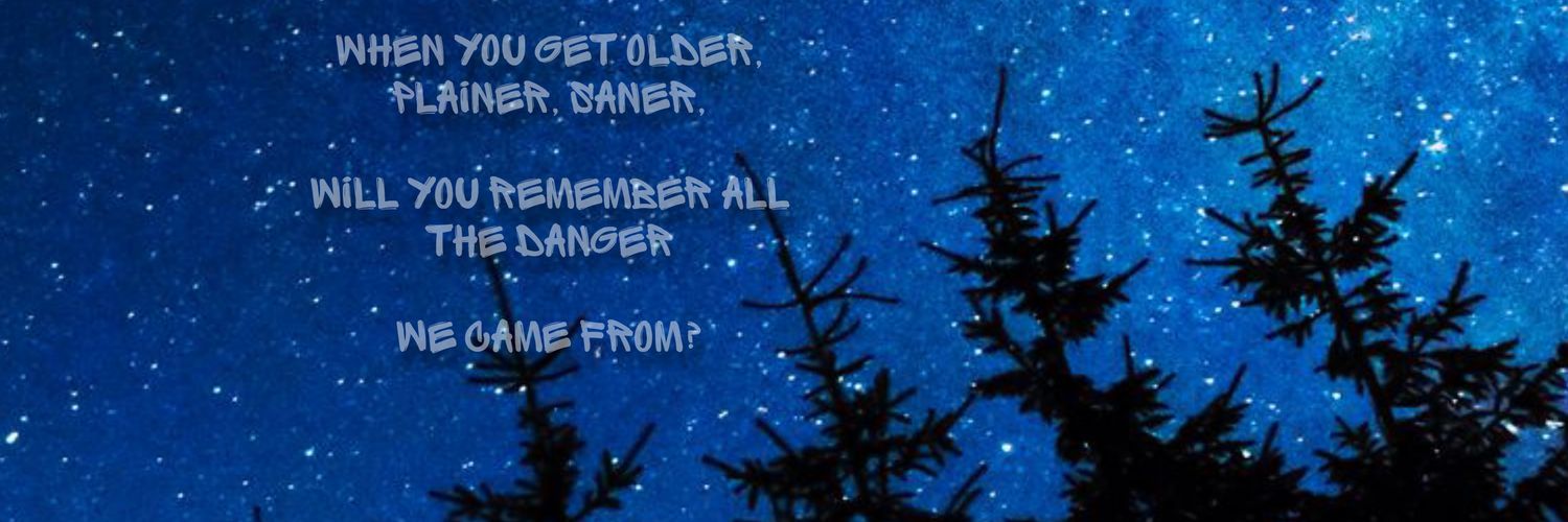 Какой-то Тюлень☘ banner