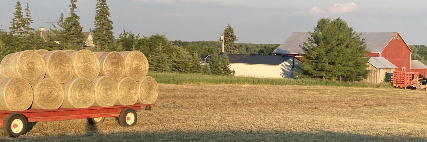 Cameron Lago banner