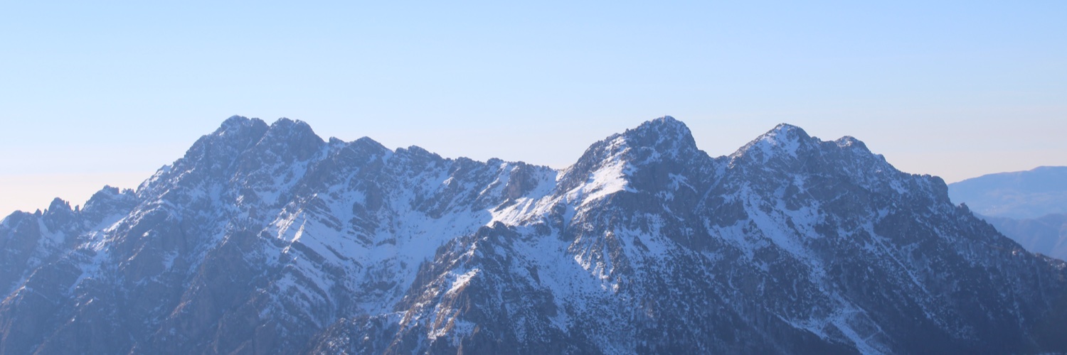 Francesco Luciano banner