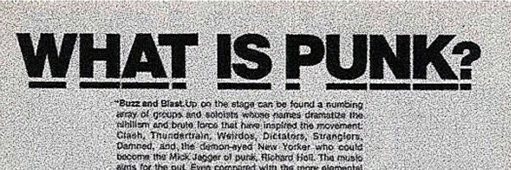 ☆Blueberry Sun☆ banner