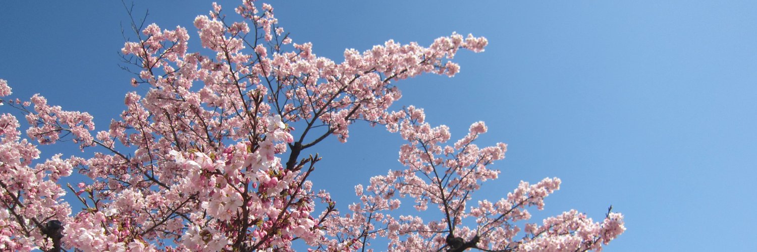 笑と月 banner