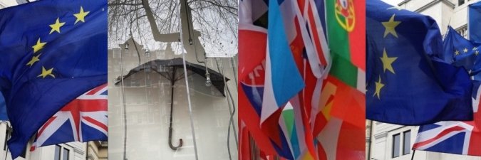 Jennifer Stewart banner