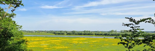 CeciliaBorassi Profile Banner