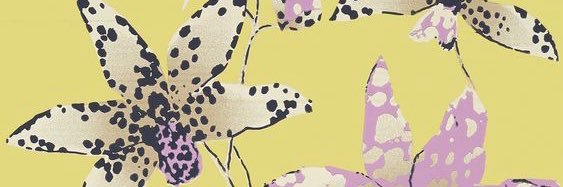 luisa banner