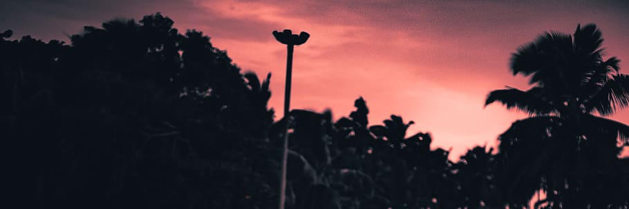 Løne Wølf banner