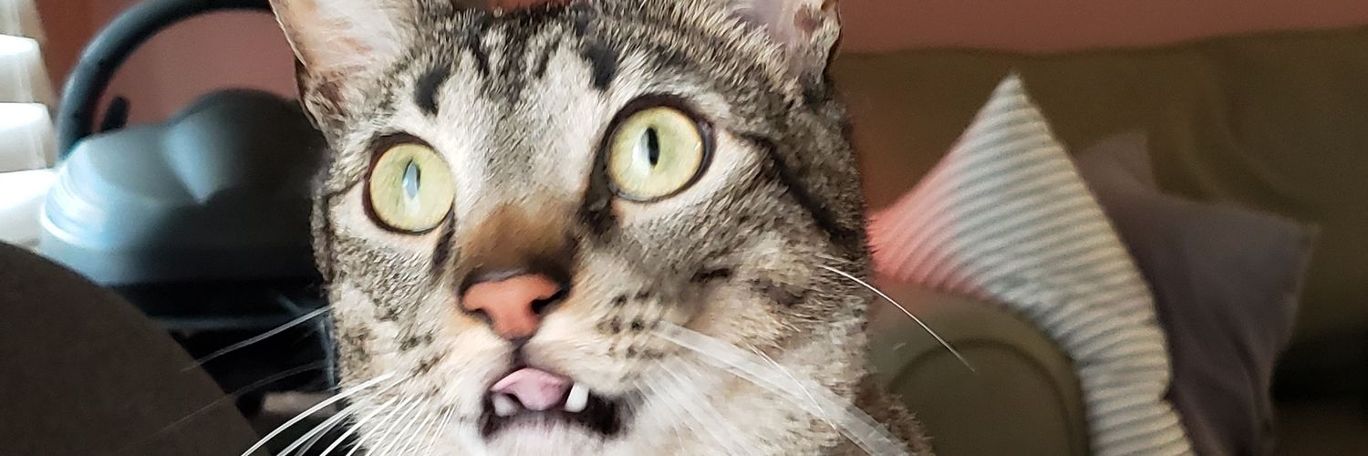 PATCHESRILEY's profile banner image