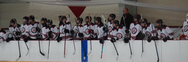 AAPuck Profile Banner